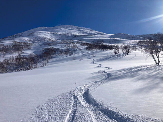 ニセコアンヌプリ国際スキー場 | Niseko Area Guide