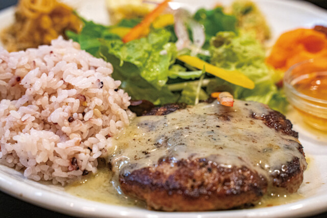 Harvest cafe 01